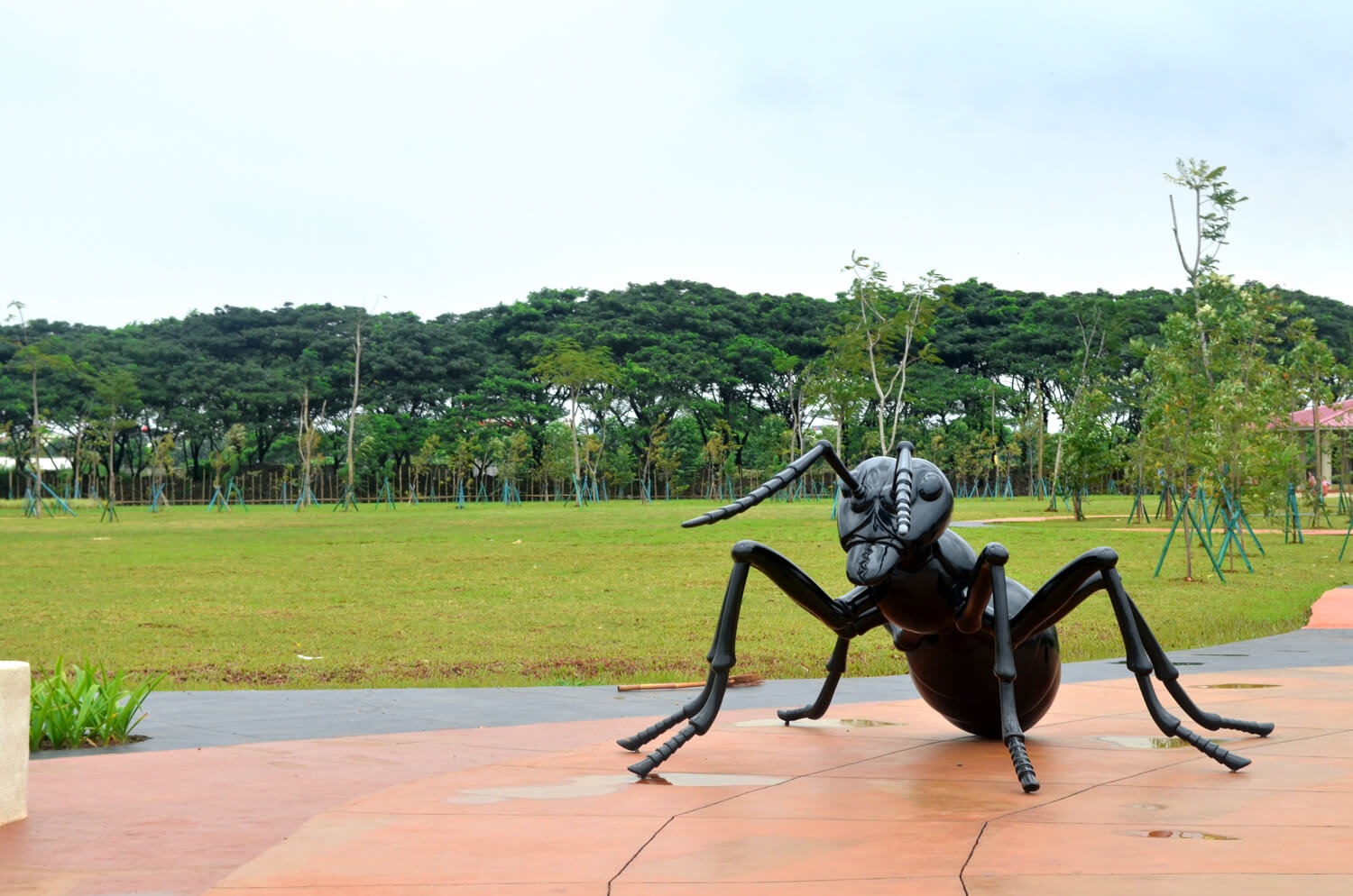 Foto TAMAN SEMUT JGC
