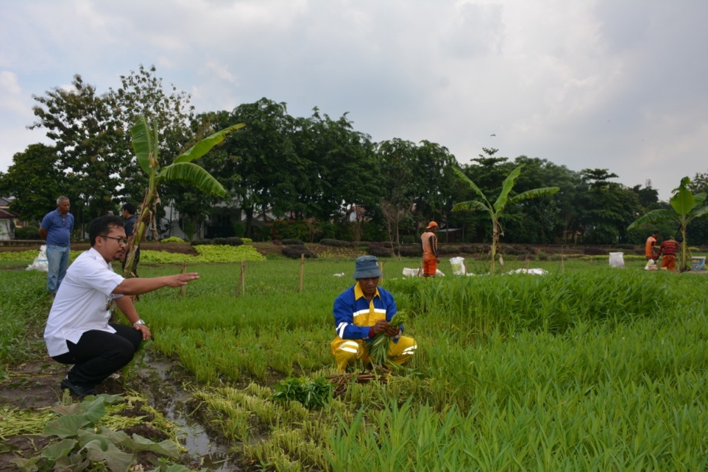 Melihat Lebih Dekat Taman Binaan Kelurahan Cipinang Melayu 