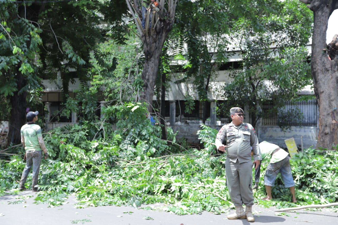 Pengaduan Direspon Cepat, Ketua Rw07 Kelurahan Rawa Bunga Apresiasi