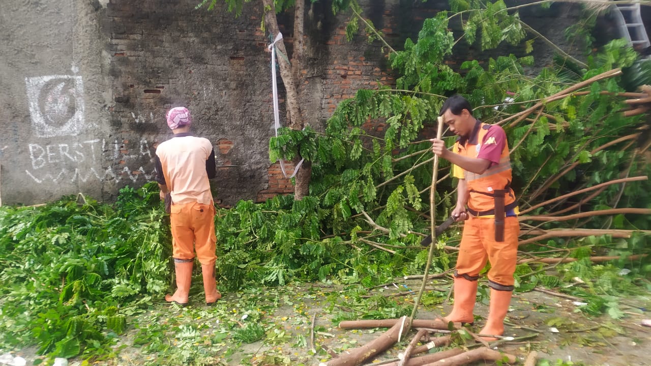 Respon Cepat Aduan Warga, PPSU Kelurahan Batu Ampar Atasi Pohon Tumbang