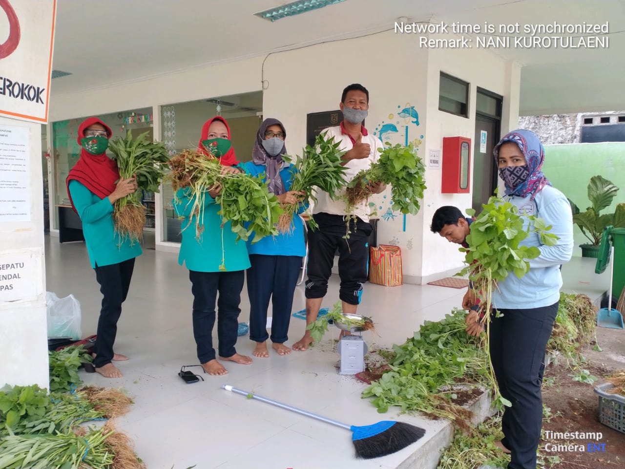 Kelurahan Malaka Jaya Panen Kangkung dan Bayam Hingga 49 Kg