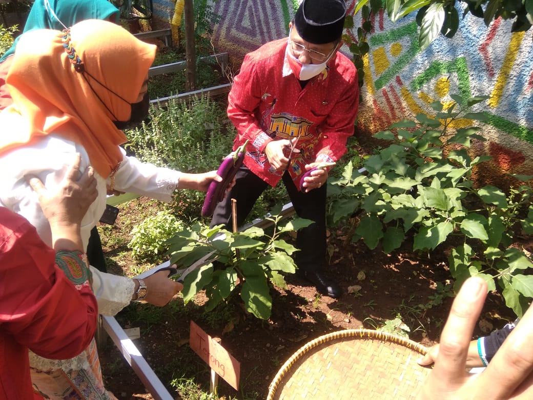 29,7 Kg Sayuran Dipanen di RPTRA Udara Segar Kelurahan Batu Ampar