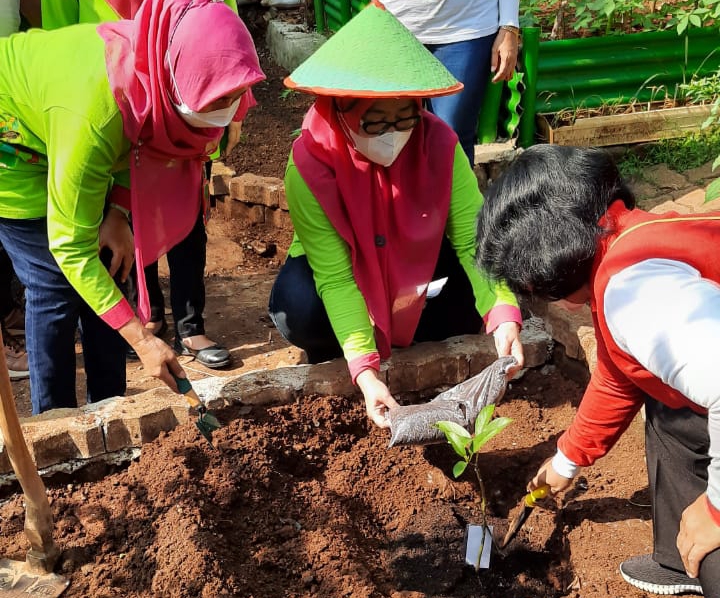 Dukung `Kampung Buah`, Kader PKK Kelurahan Ciracas Tanam Pohon Alpukat