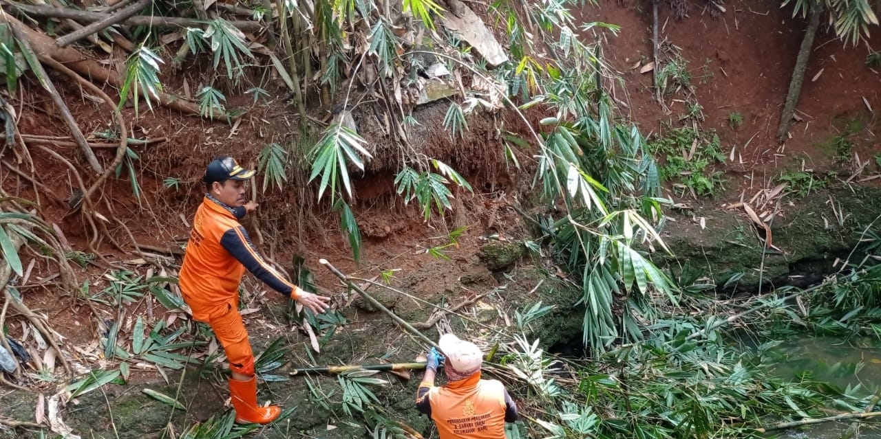 Petugas PPSU Kelurahan Baru Tebang Pohon di Pinggir Kali Cijantung