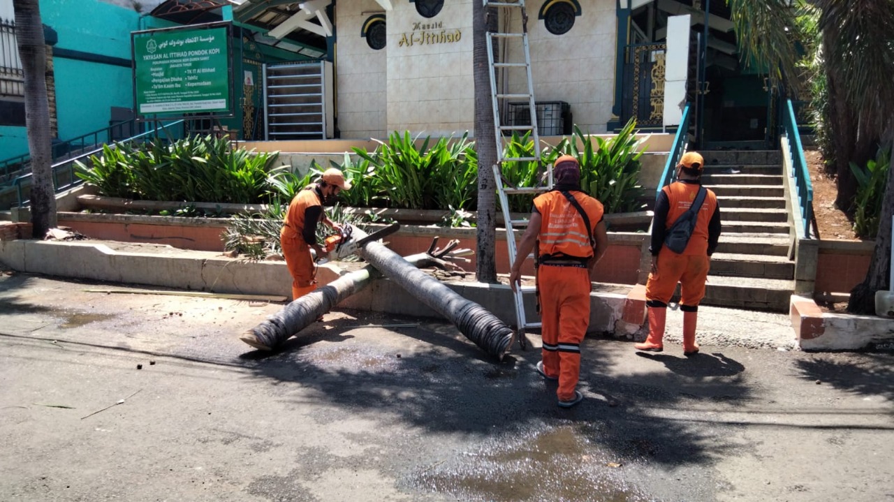 Cegah Pohon Tumbang, PPSU Kelurahan Pondok Kopi Lakukan Pemangkasan
