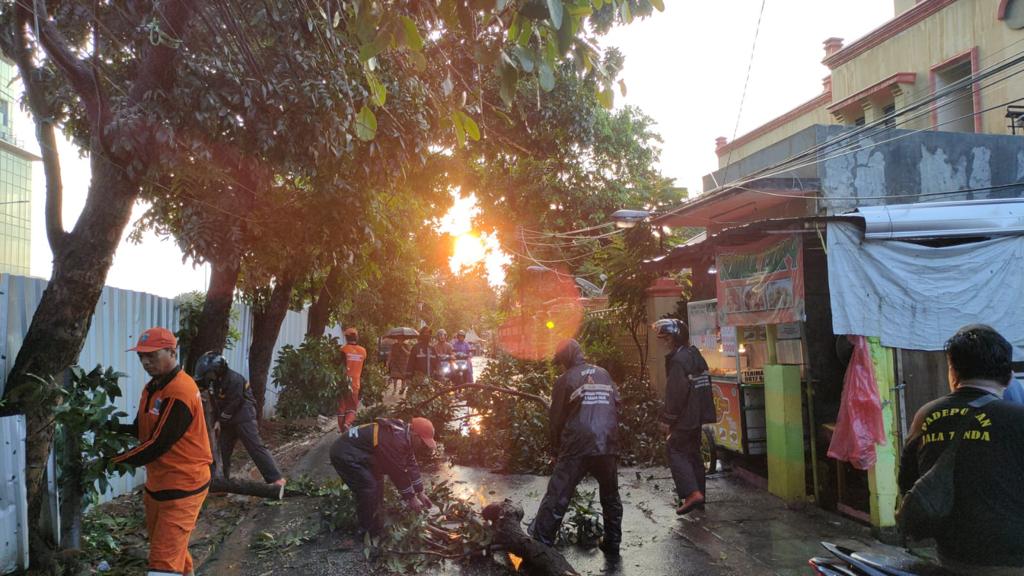 PPSU Kelurahan Cipayung Tindaklanjuti Aduan Pohon Tumbang