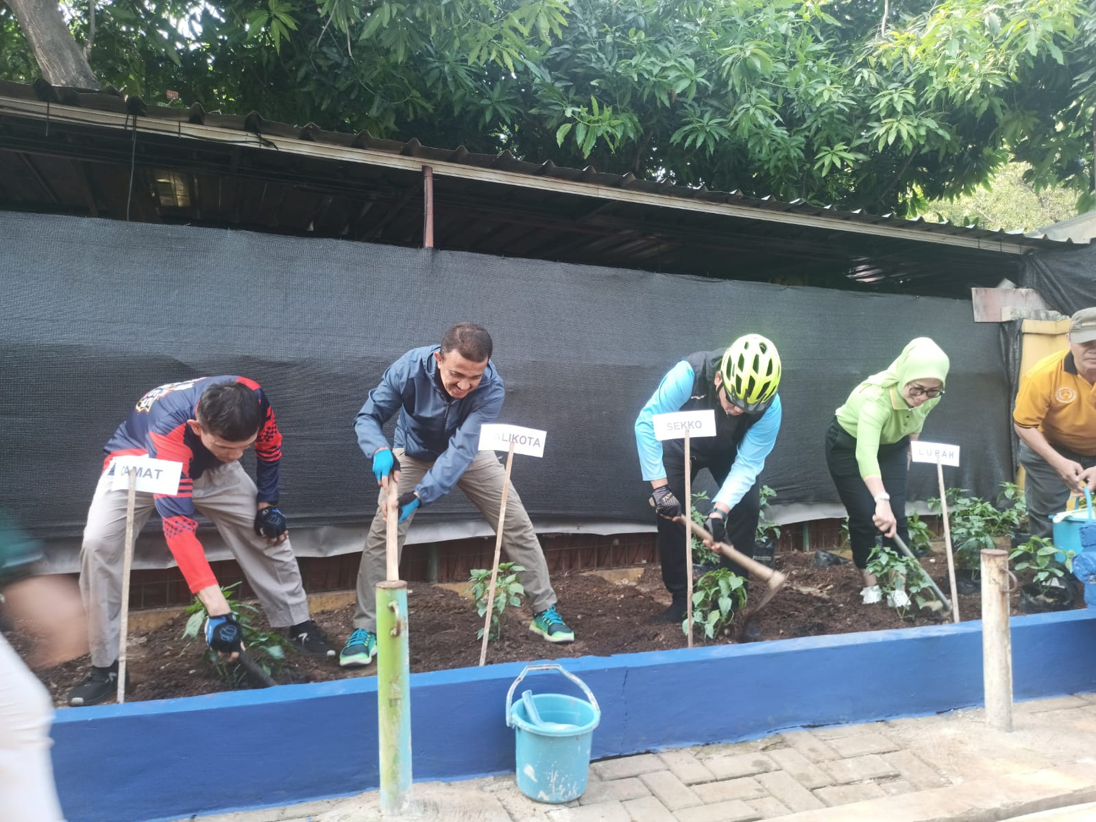 Walikota Jakarta Timur Bersama Warga Tanam Cabai di RW 05 Kelurahan Cipinang 