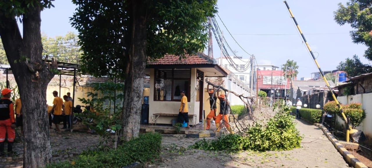 Petugas Gabungan Pangkas 17 Pohon di Kelurahan Ceger