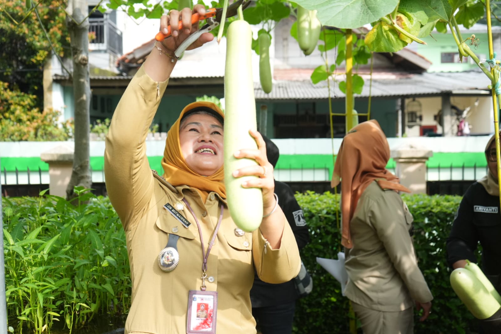Plt Walikota Jakarta Timur Panen Labu di Halaman Kantor Kelurahan Tengah
