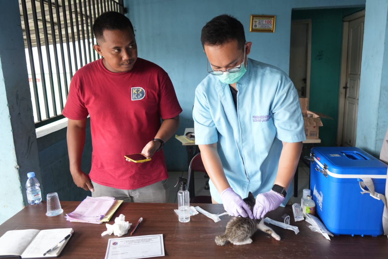 48 Anabul Mendapatkan Vaksinasi Rabies di Sekretariat RW 02 Kelurahan Setu