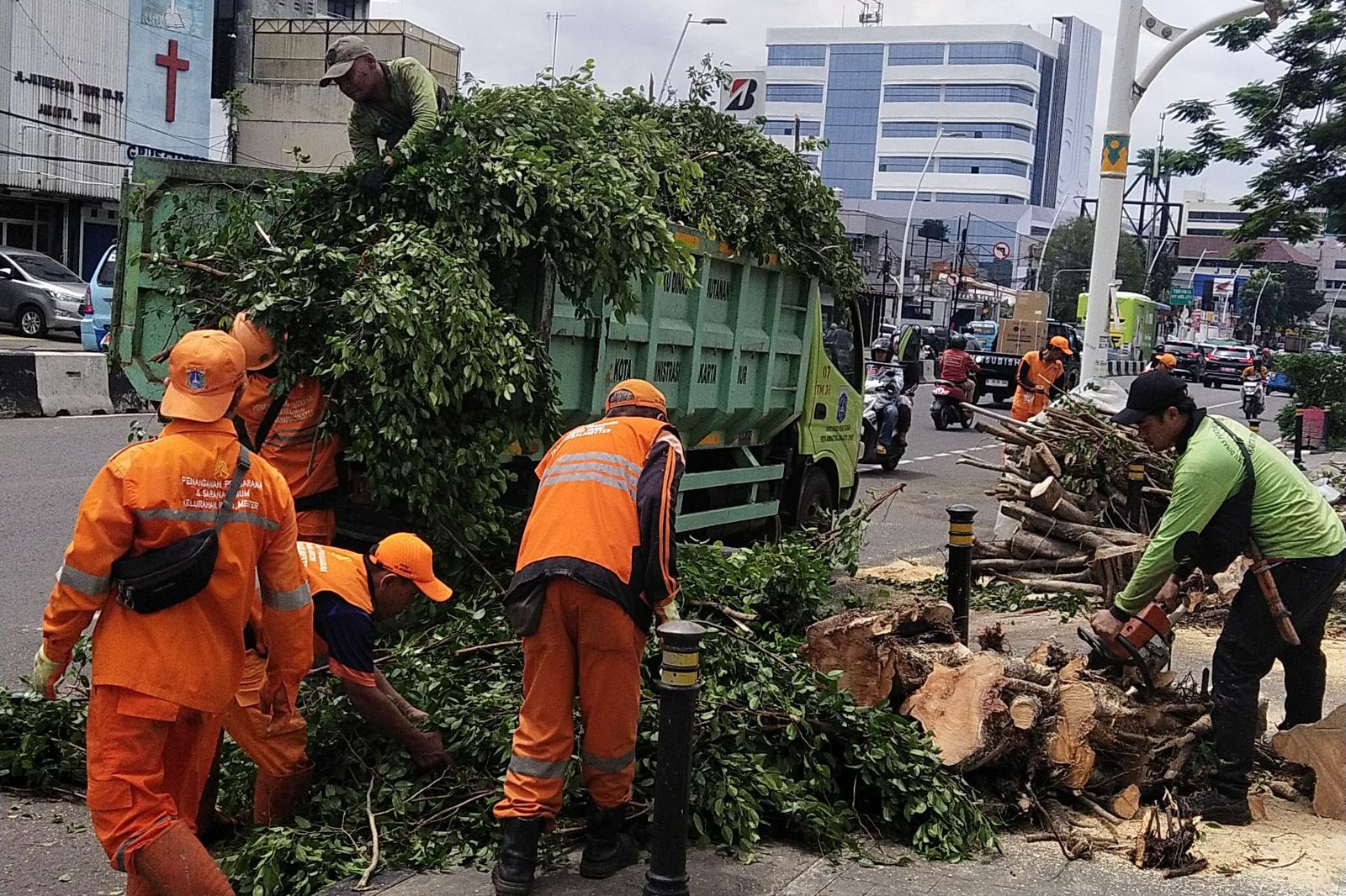 12 Pohon Tumbang dan Patah di Dua Kelurahan Kecamatan Jatinegara Dirapihkan