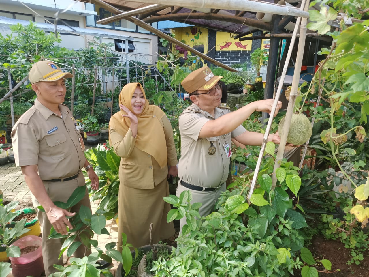 Kelurahan Utan Kayu Selatan Hasilkan 8 Kg Melon Manfaatkan Lahan Halaman Kantor
