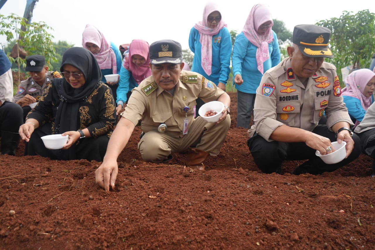 Kecamatan Cipayung Tanam 50 Kg Bawang Merah Serentak di 15 Titik 