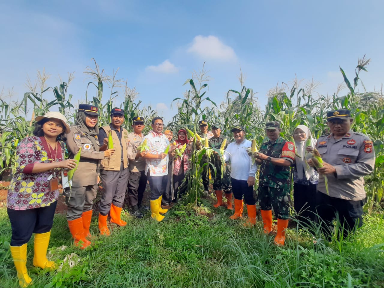 PKK Kelurahan Bambu Apus Panen 200 Kg Jagung