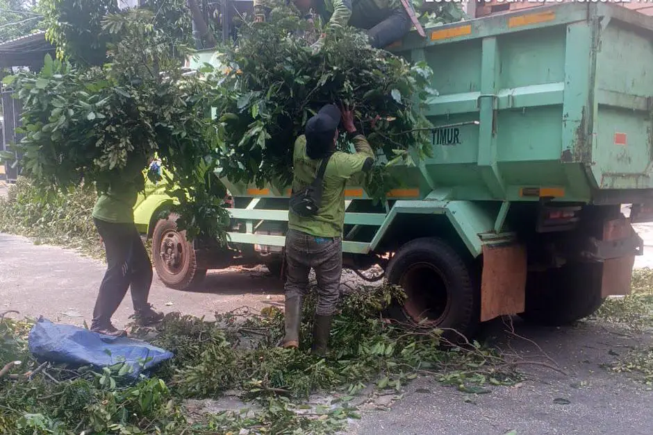 Pasukan Pertamanan Kecamatan Jatinegara Rapihkan 4 Pohon Rawan Tumbang dan Ganggu Fasilitas Jalan
