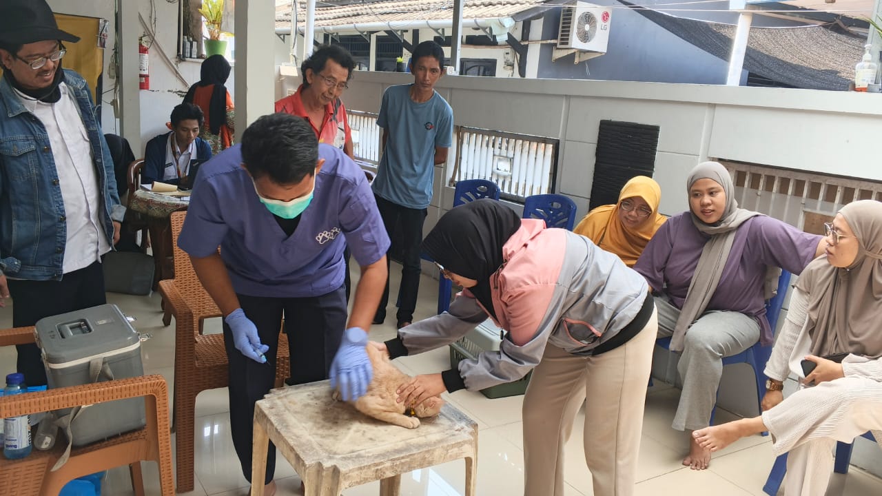 37 Ekor Kucing Ikuti Vaksinasi Rabies di RW 04 Kelurahan Balekambang
