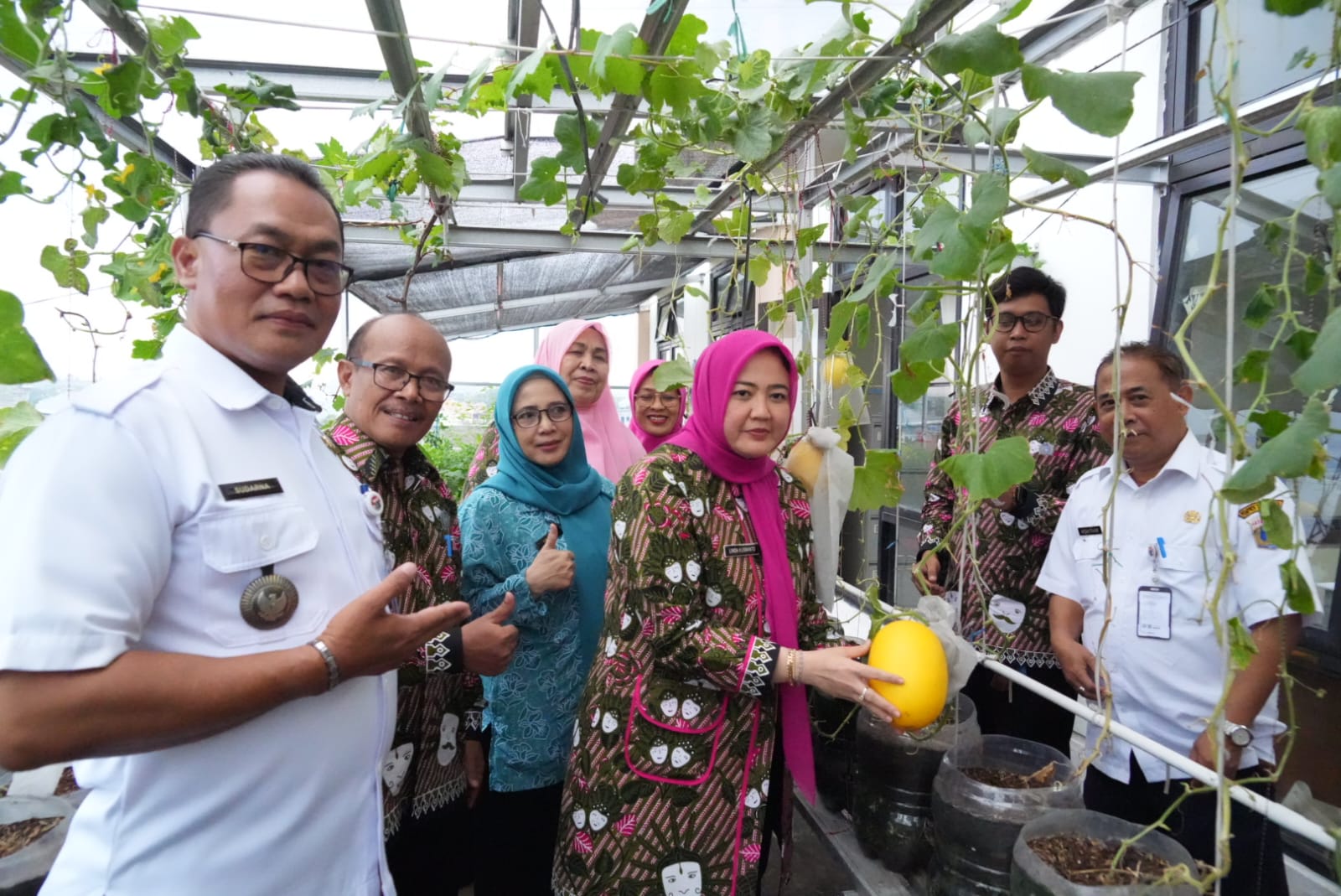 SME PKK Kecamatan Ciracas, Ketua Bidang 1 PKK Jaktim  Panen Melon Modesta