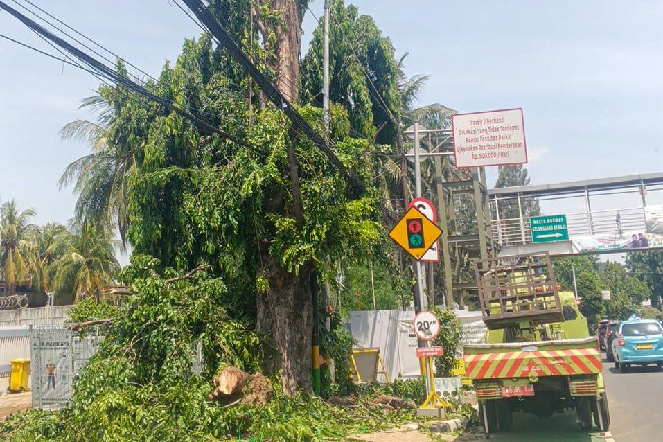 Satgas Pertamanan Kecamatan Jatinegara Rapihkan Pohon yang Mengganggu Kabel Udara