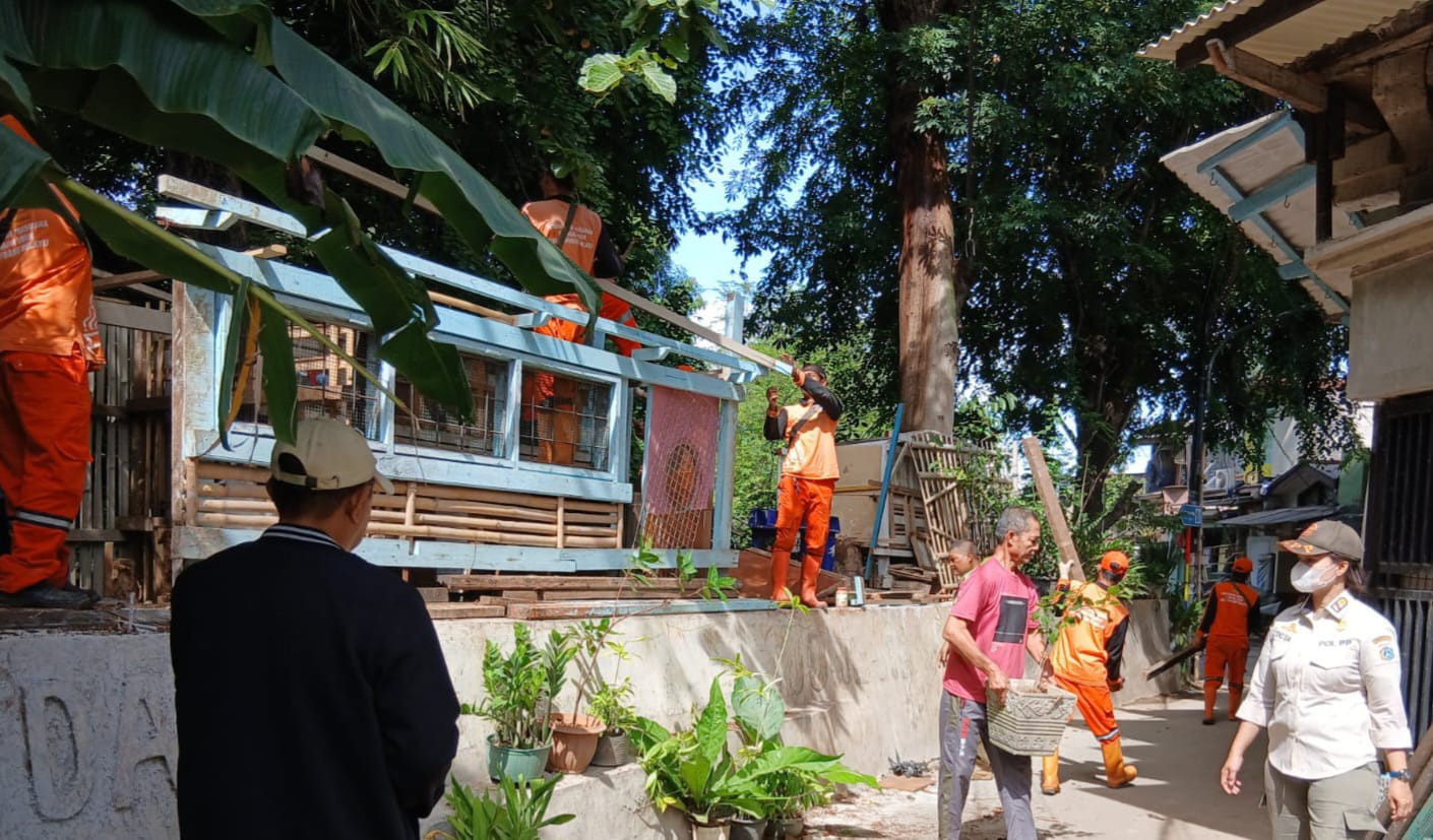 Kembalikan Fungsi Lahan Hijau, Kelurahan Cipinang Melayu Rapihkan Belasan Kandang Unggas di Tepi Kali Sunter