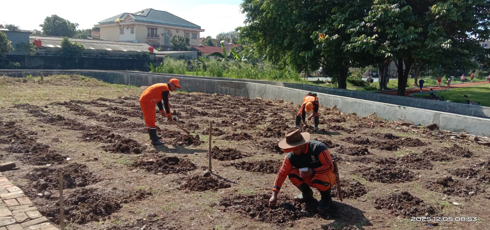 Kelurahan Ceger Sulap Lahan Tidur Jadi Area Urban Farming PKK Berkah