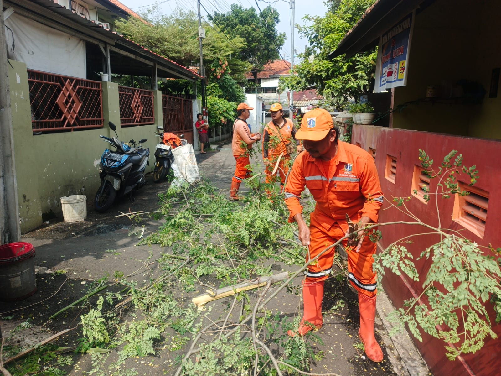 Cegah Pohon Tumbang, PPSU Kelurahan Cijantung Tindak Lanjut Aduan Warga