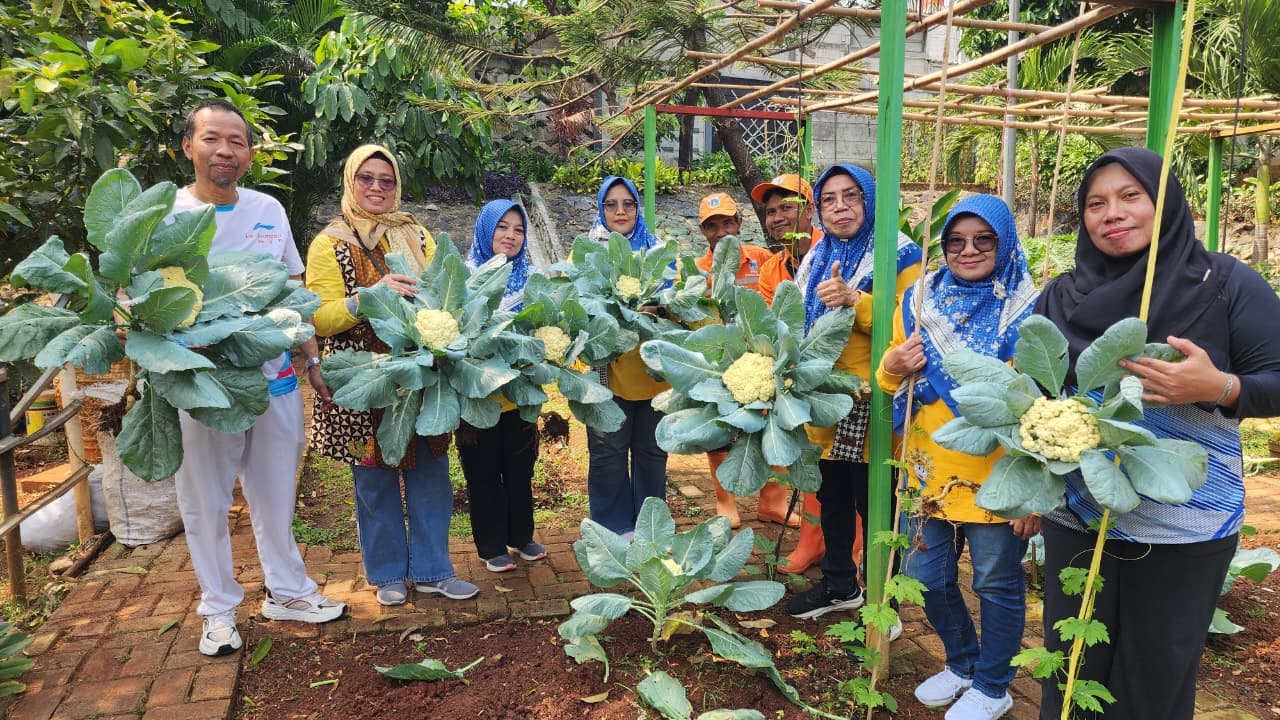 Hasil Budidaya Urban Farming, Kelurahan Cijantung Panen Sayuran 40 Kg